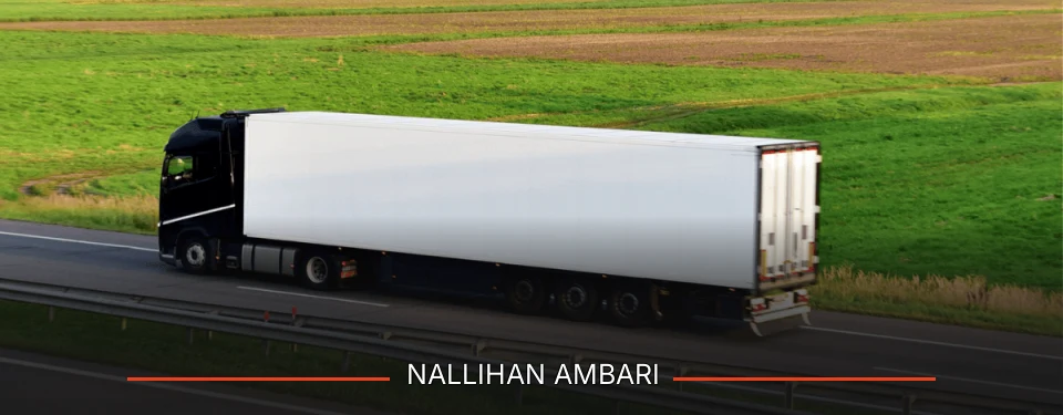 Nallıhan Ambarı